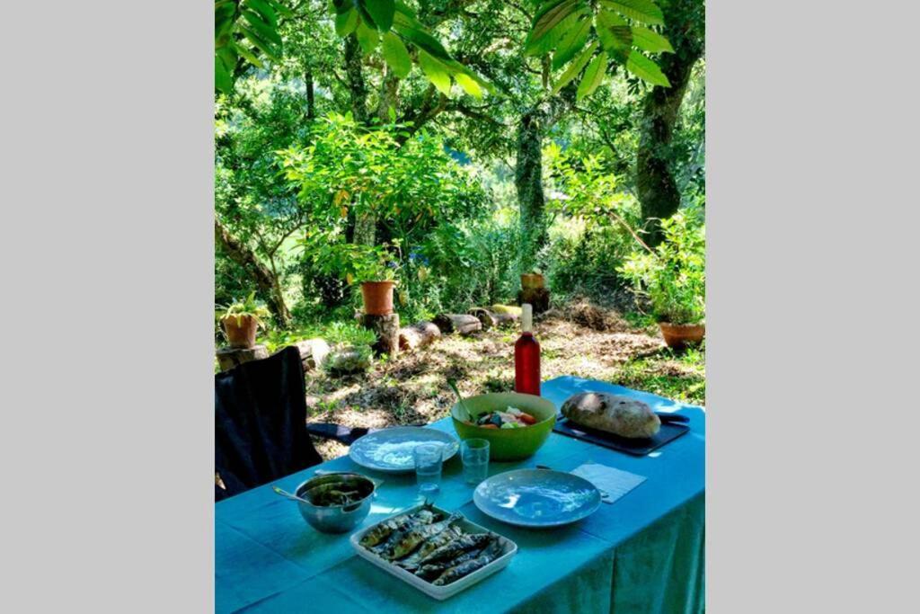 Quinta Biologica, Com Vista, Na Serra De Sintra Kültér fotó