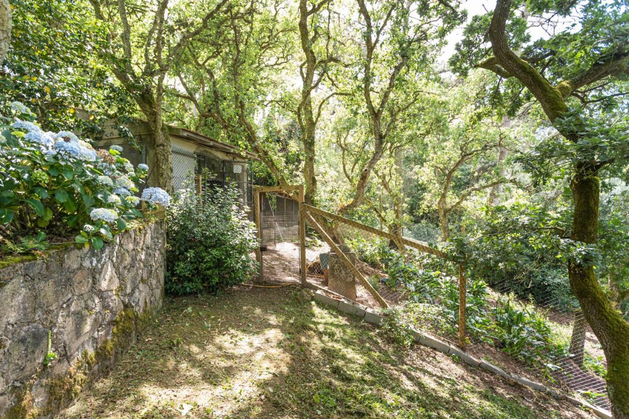 Quinta Biologica, Com Vista, Na Serra De Sintra Kültér fotó