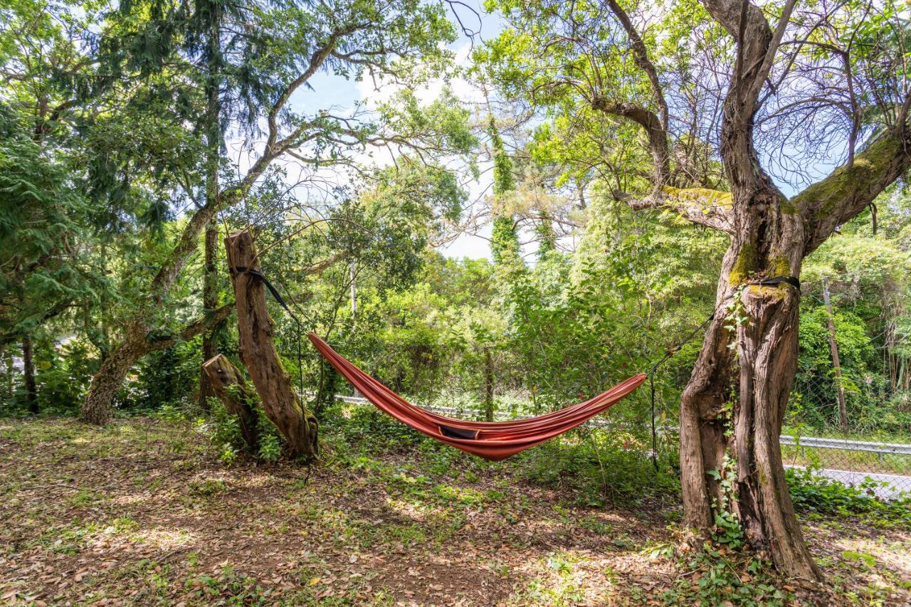 Quinta Biologica, Com Vista, Na Serra De Sintra Kültér fotó