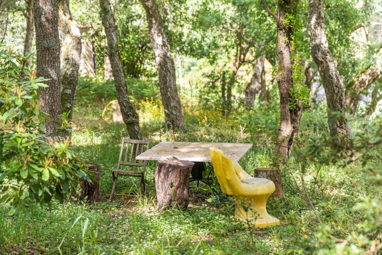Quinta Biologica, Com Vista, Na Serra De Sintra Kültér fotó