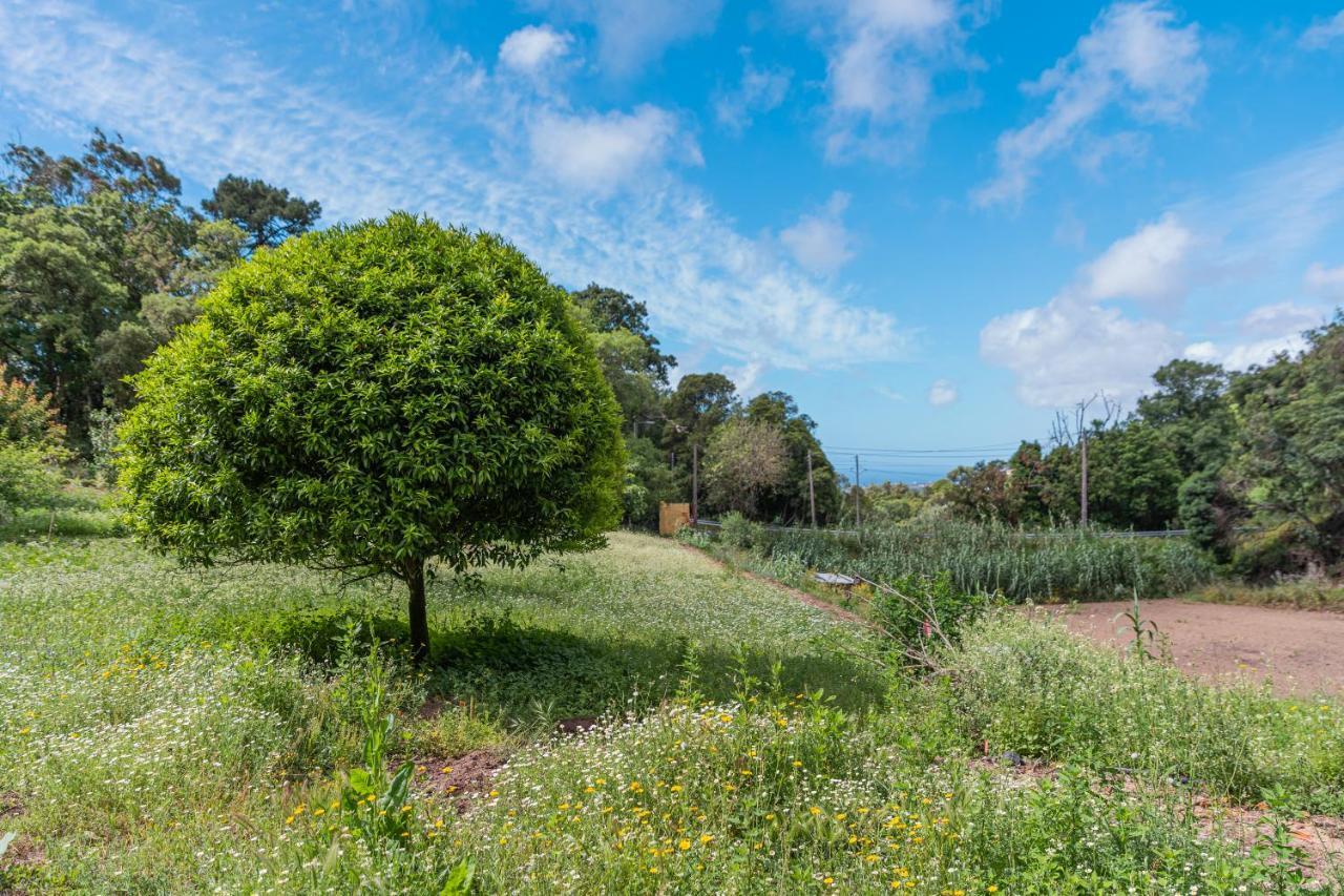 Quinta Biologica, Com Vista, Na Serra De Sintra Kültér fotó